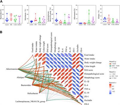 Sijunzi decoction alleviates inflammation and intestinal epithelial barrier damage and modulates the gut microbiota in ulcerative colitis mice